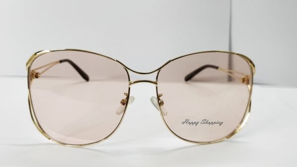 Tom ford designer oversize sunglass