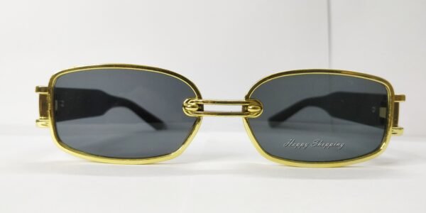 DW lightweight polycarbonate steampunk sunglass